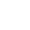 Sonnenblume